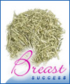 Oat Grass